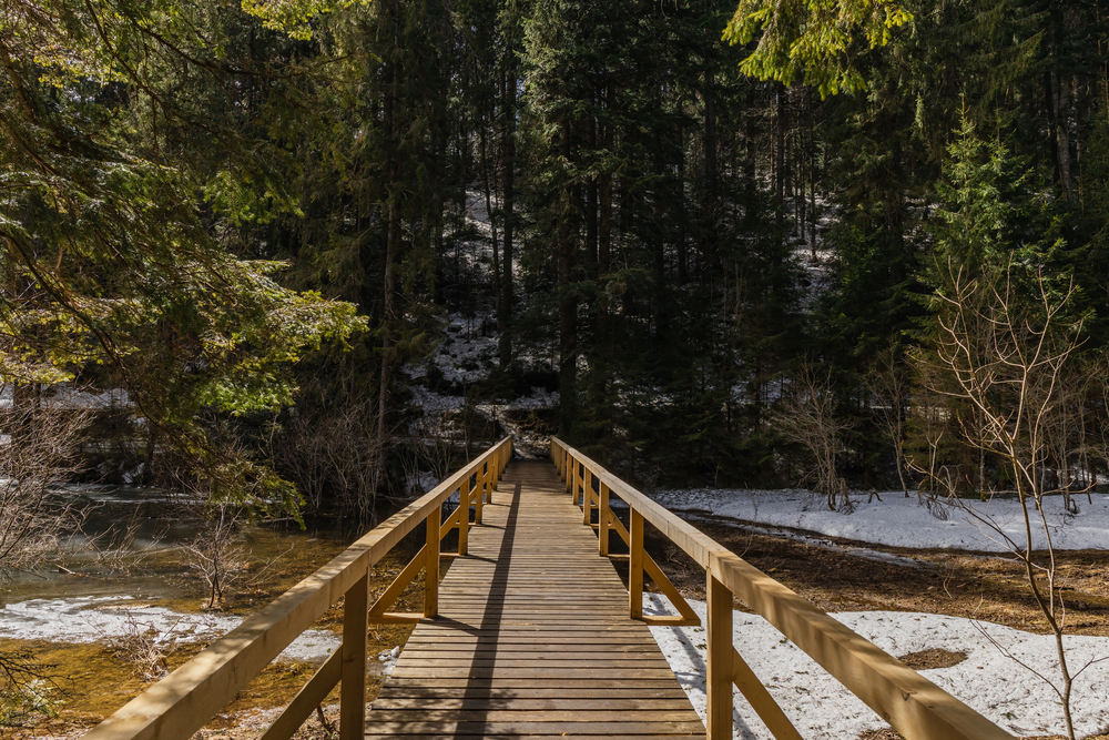Holzbrücke über klaren Bach im Wald